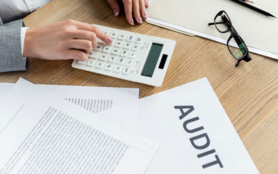 Worried About an IRS Audit? Here’s How We Protect You